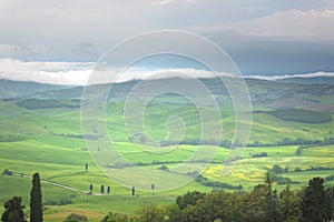 Tuscany, rural landscape. Countryside farm, cypresses trees, green field, cloudy day