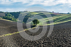 Tuscany, rural landscape in Crete Senesi land