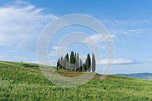 Tuscany rural landscape in Crete Senesi, landscape with green rolling hills and cypresses in Val d\'Orcia, Italy