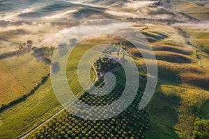 Tuscany rural landscape, foggy morning landscape with green rolling hills of countryside farm in Val d\'Orcia, Italy