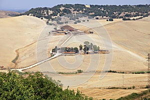 Tuscany rural landscape with yellow fields and countryside farm, Italy.