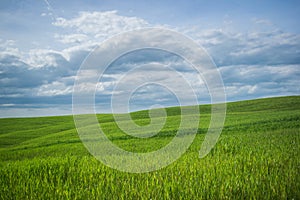 Tuscany rural landscaper path countryside italy green blue