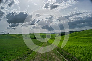 Tuscany rural landscaper path countryside italy green blue