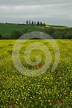 Tuscany rural landscaper path countryside italy green blue yellow