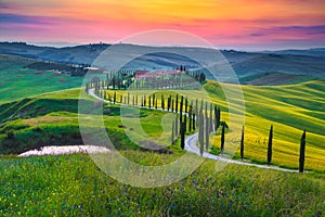 Tuscany rural scenery with grain fields at sunset, Asciano, Italy photo