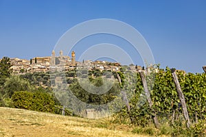 Tuscany`s most famous vineyards near town Montalcino in Italy