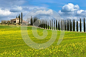 Tuscany in spring