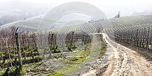 Tuscany typical rural landscape