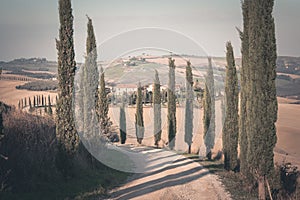 Tuscany valley at early morning