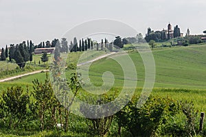 Tuscany Valley with Single Lane Road