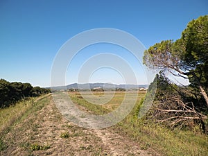 Tuscany, view of meadow and Apennines in the background