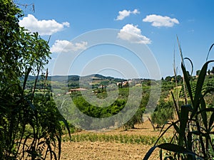 Tuscany view with vineyards and hills and old houses