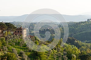 Tuscany villa with olive grove in front