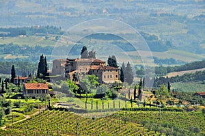 Tuscany vineyard img