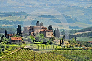 Tuscany vineyard