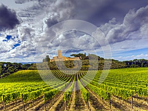 Tuscany vineyards countryside img