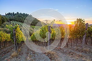 Tuscany vineyards sunset