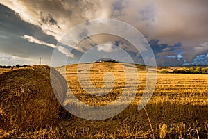 Tuscany wheat field during stormy sunset