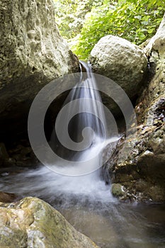 Tusciano river forest