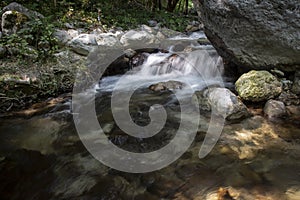 Tusciano river forest