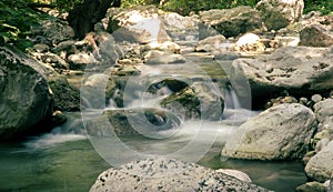 Tusciano river forest