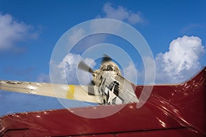 Tuskegee Airmen P-51-D Mustang Photo Illustration