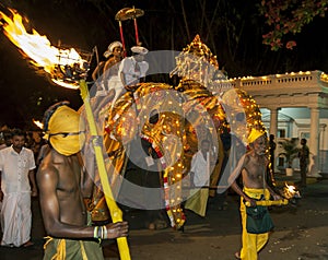 A Tusker group parades through the streets of Kandy during the Esala Perahara in Sri Lanka.