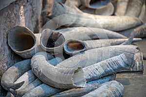 Tusks for sale in Old Town market in Feng Huang