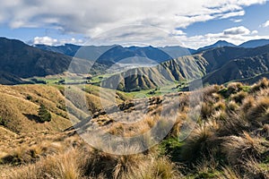 Tussock covered hills near Havelock town in Marlborough region, New Zealand