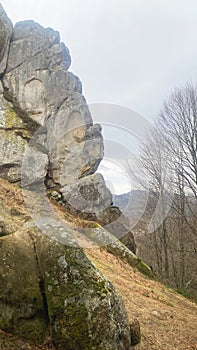 Tustan rocks with moss in Ukraine