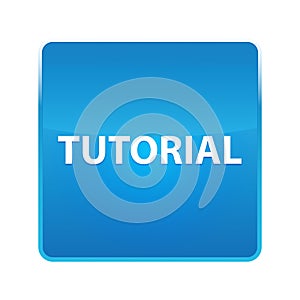 Tutorial shiny blue square button