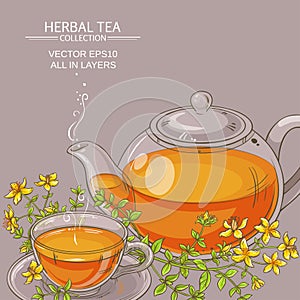 Tutsan tea vector illustration