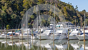 Tutukaka Marina in New Zealand