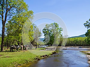 Tuul River, Mongolia