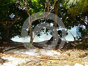 Tuvalu, Funafuti Atoll, the beach