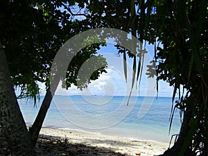 Tuvalu, Funafuti Atoll, the beach