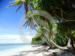 Tuvalu, Funafuti Atoll, the beach