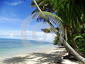 Tuvalu, Funafuti Atoll, the beach