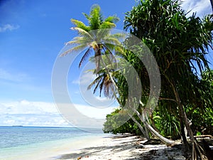 Tuvalu, Funafuti Atoll, the beach