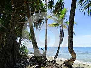 Tuvalu, Funafuti Atoll, the beach