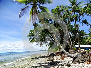 Tuvalu, Funafuti Atoll, the beach