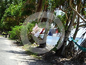 Tuvalu, Funafuti Atoll, the beach