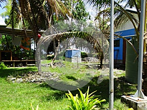 Tuvalu, Funafuti Atoll, the beach