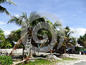 Tuvalu, Funafuti Atoll, the street scene