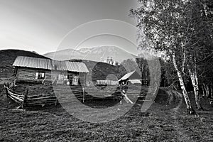 The peaceful life of the Tuvas in Xinjiang, China