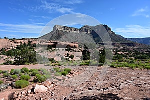 Tuweep Campground in the Grand Canyon.