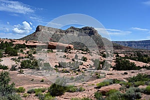 Tuweep Campground in the Grand Canyon.