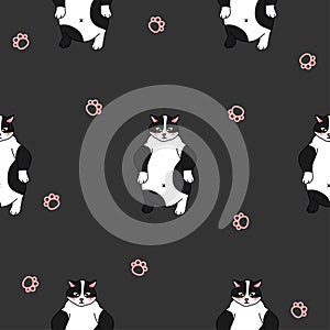 Tuxedo Cat and Pink Paws Seamless on Dark Gray Background