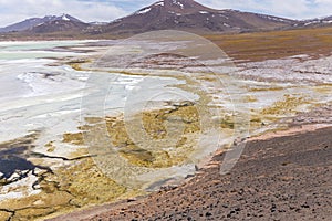 Tuyajto Lagoon in the Atacama Desert, Chile, South America