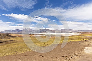 Tuyajto Lagoon in the Atacama Desert, Chile, South America